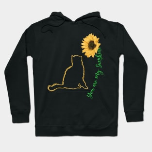 You Are My Sunshine - Funny Cat Hoodie